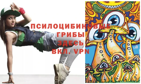 сатива Алзамай