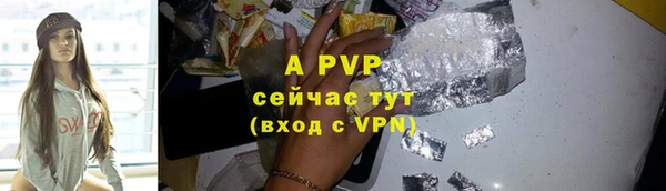 индика Алексин