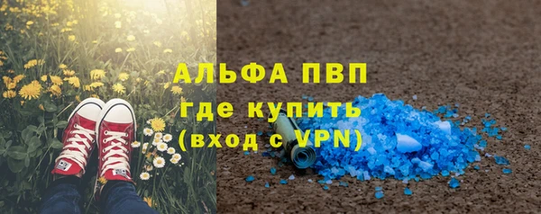 сатива Алзамай