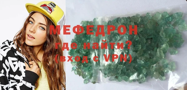 индика Алексин
