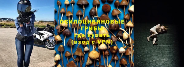сатива Алзамай