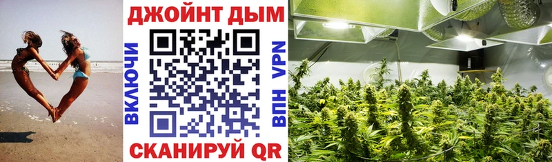 где продают наркотики  mega вход  Каннабис конопля  Кудрово 